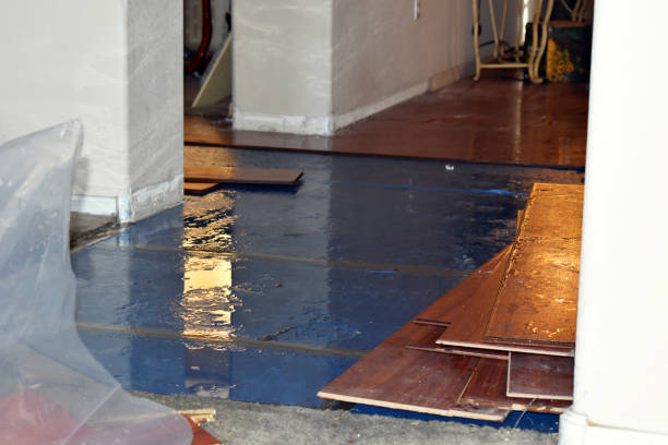 Professional Sewage Cleanup technician working in Mehama, OR